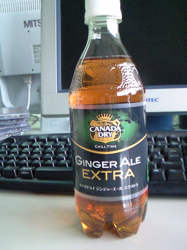 Ginger Ale EXTRA