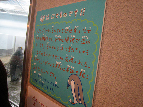 卵はにせものです!!